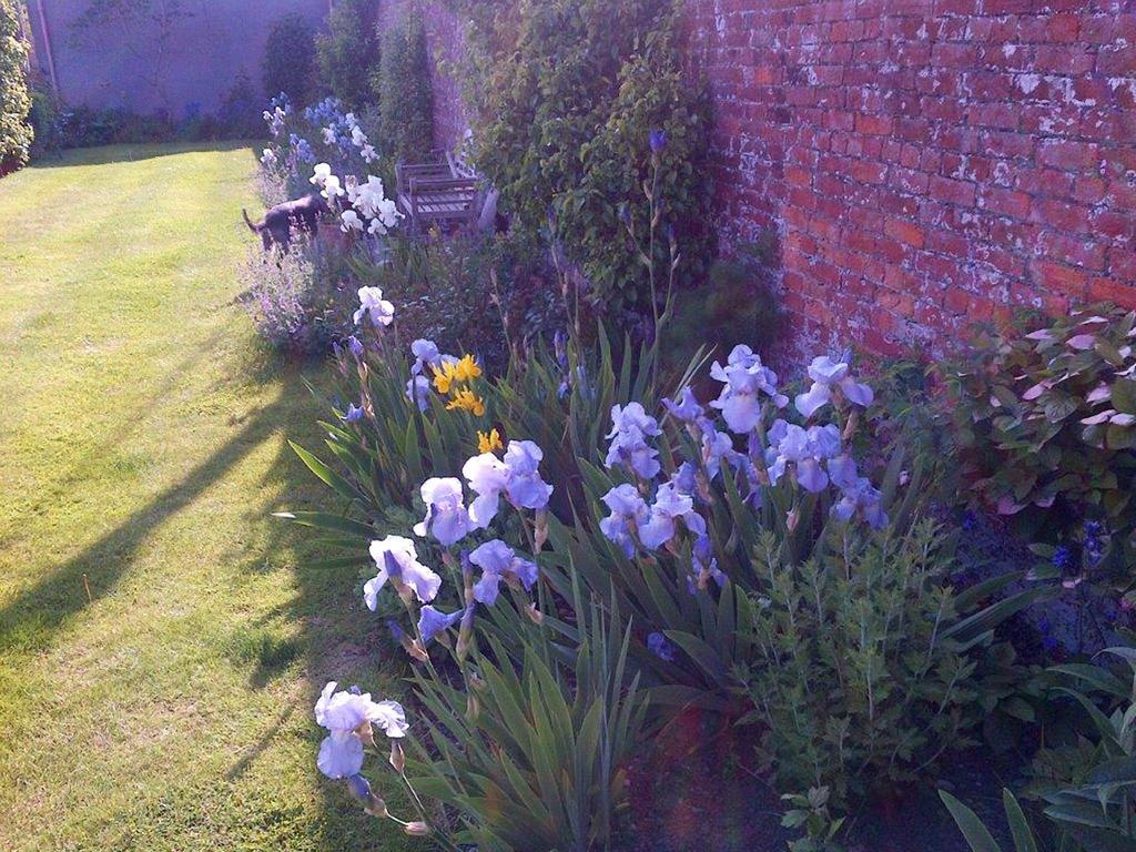 Coxley House Bed and Breakfast Wells Exterior foto